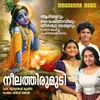 About Neela Thirumudi Song